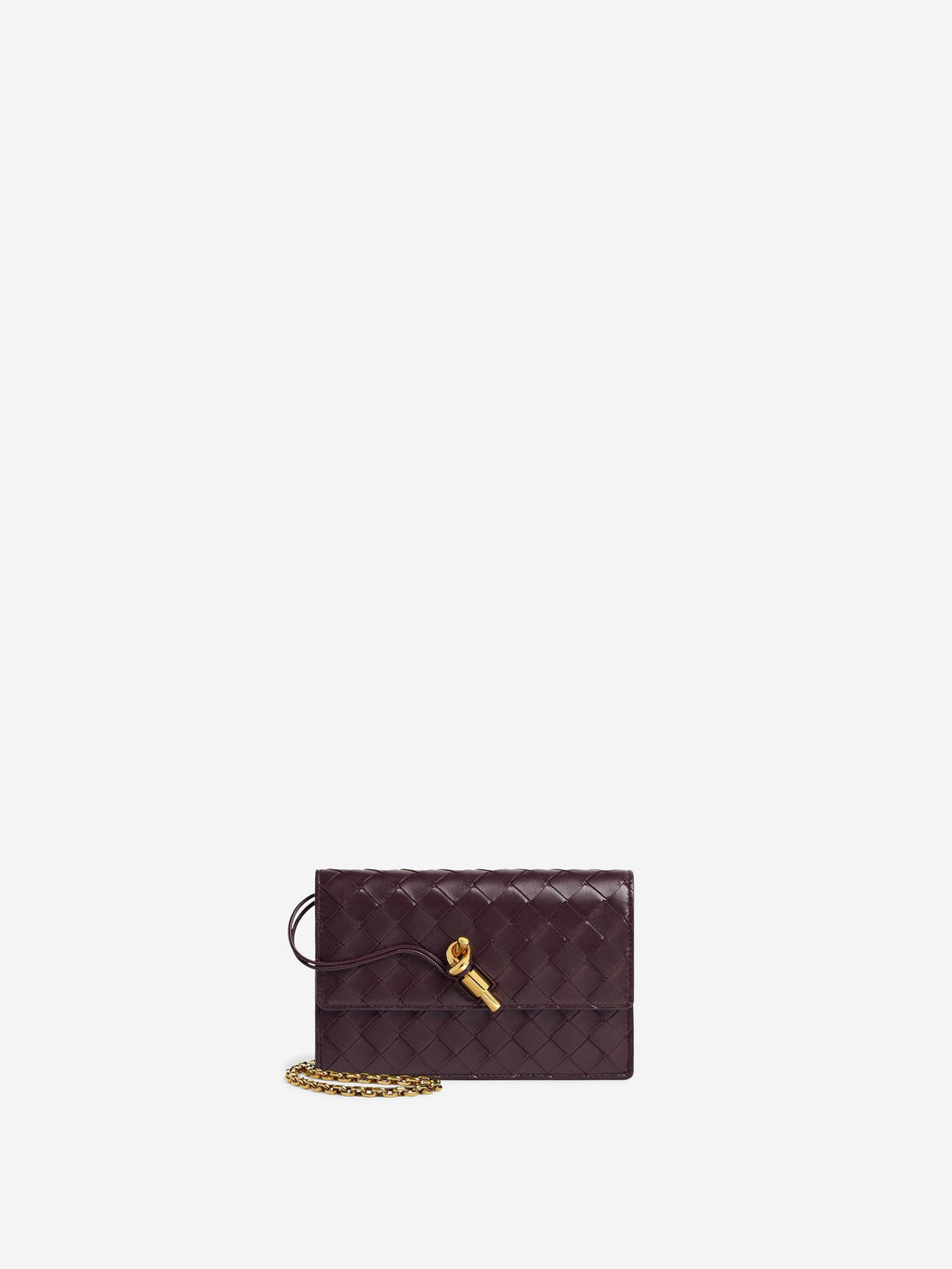 Оригінальна Andiamo Pouch Bag Bottega veneta – боковий вид