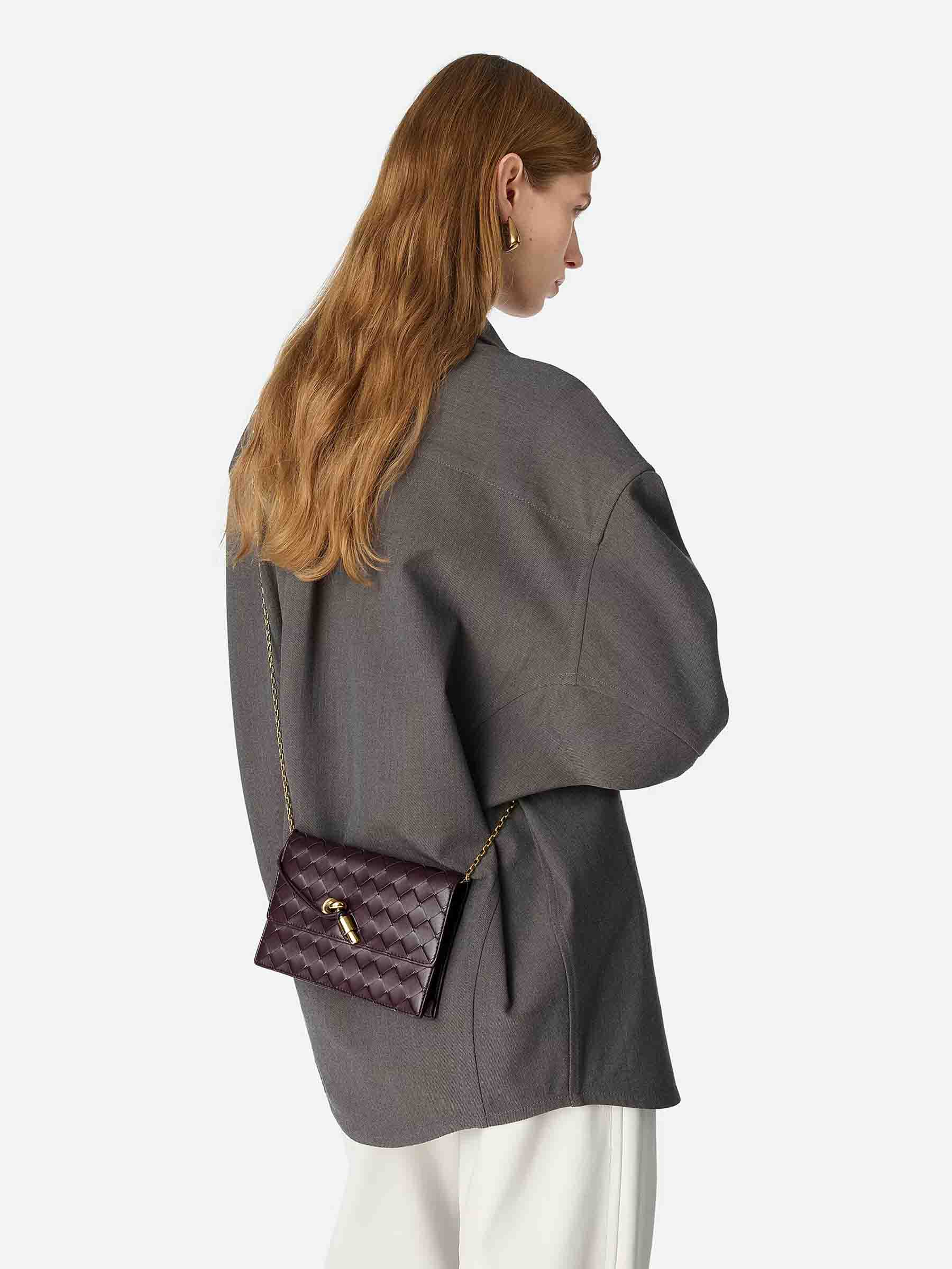 Оригінальна Andiamo Pouch Bag Bottega veneta – вид ззаду