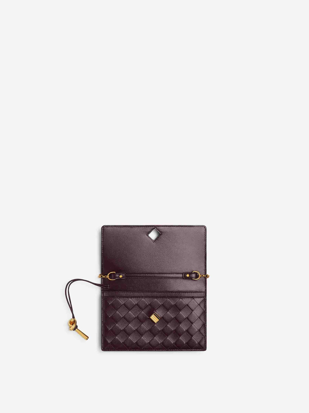 Оригінальна Andiamo Pouch Bag Bottega veneta – детальний вид