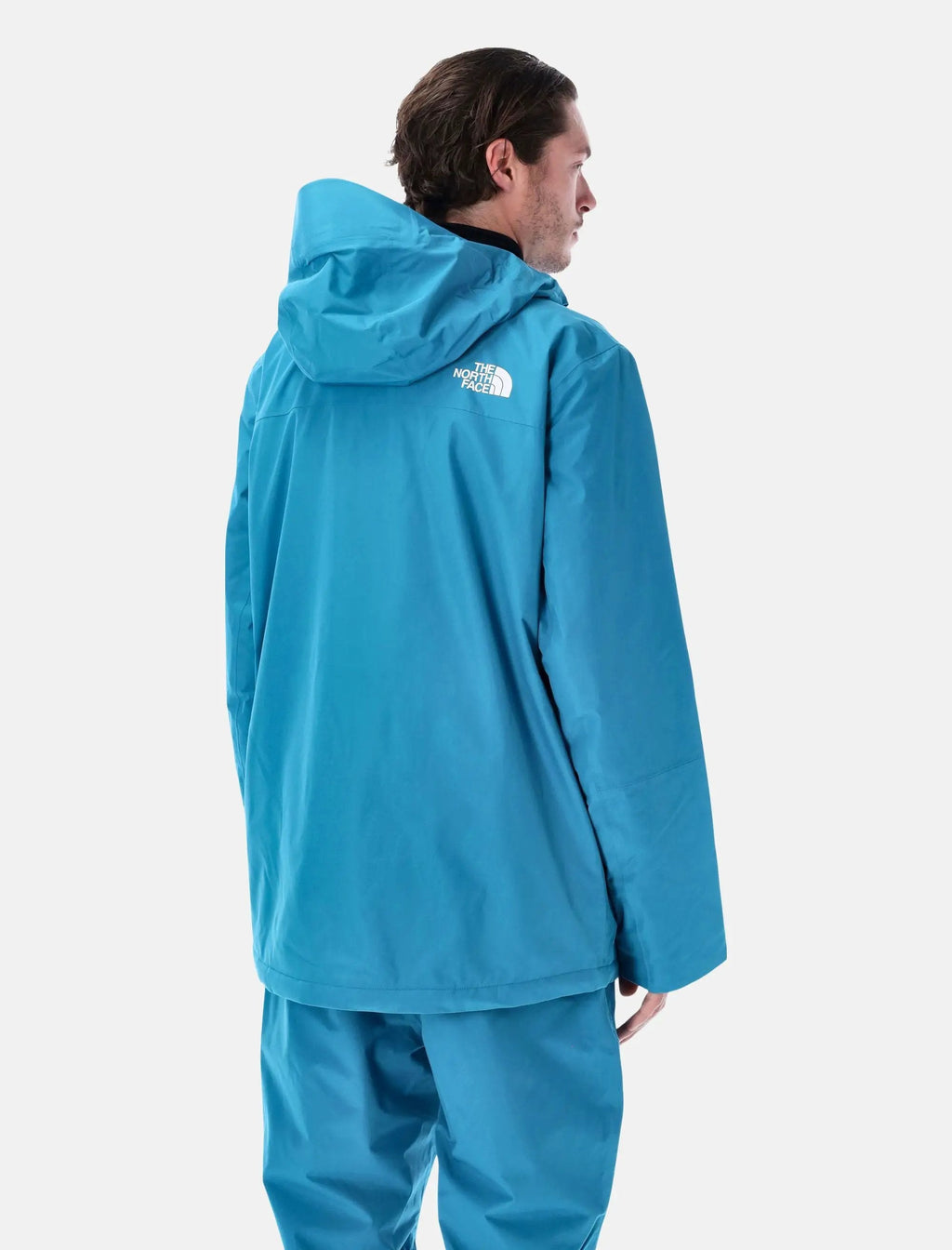 Оригінальна Descendit Ski Jacket The north face – вид ззаду