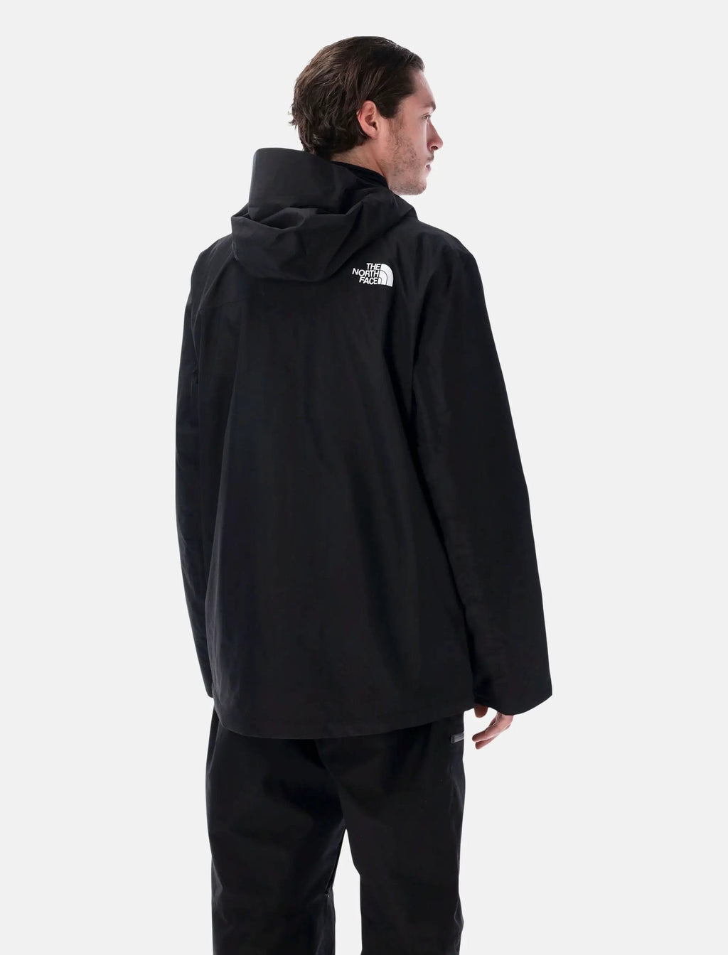 Оригінальна Descendit Ski Jacket The north face – вид ззаду