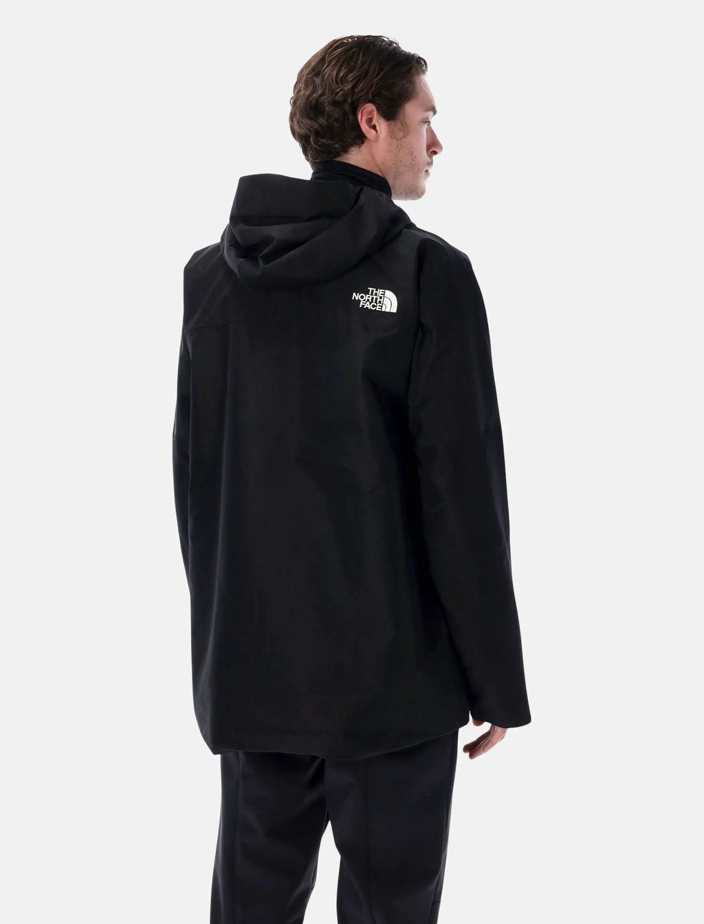 Оригінальна Dawnstrike Gore Tex® Black Jacket The north face – вид ззаду