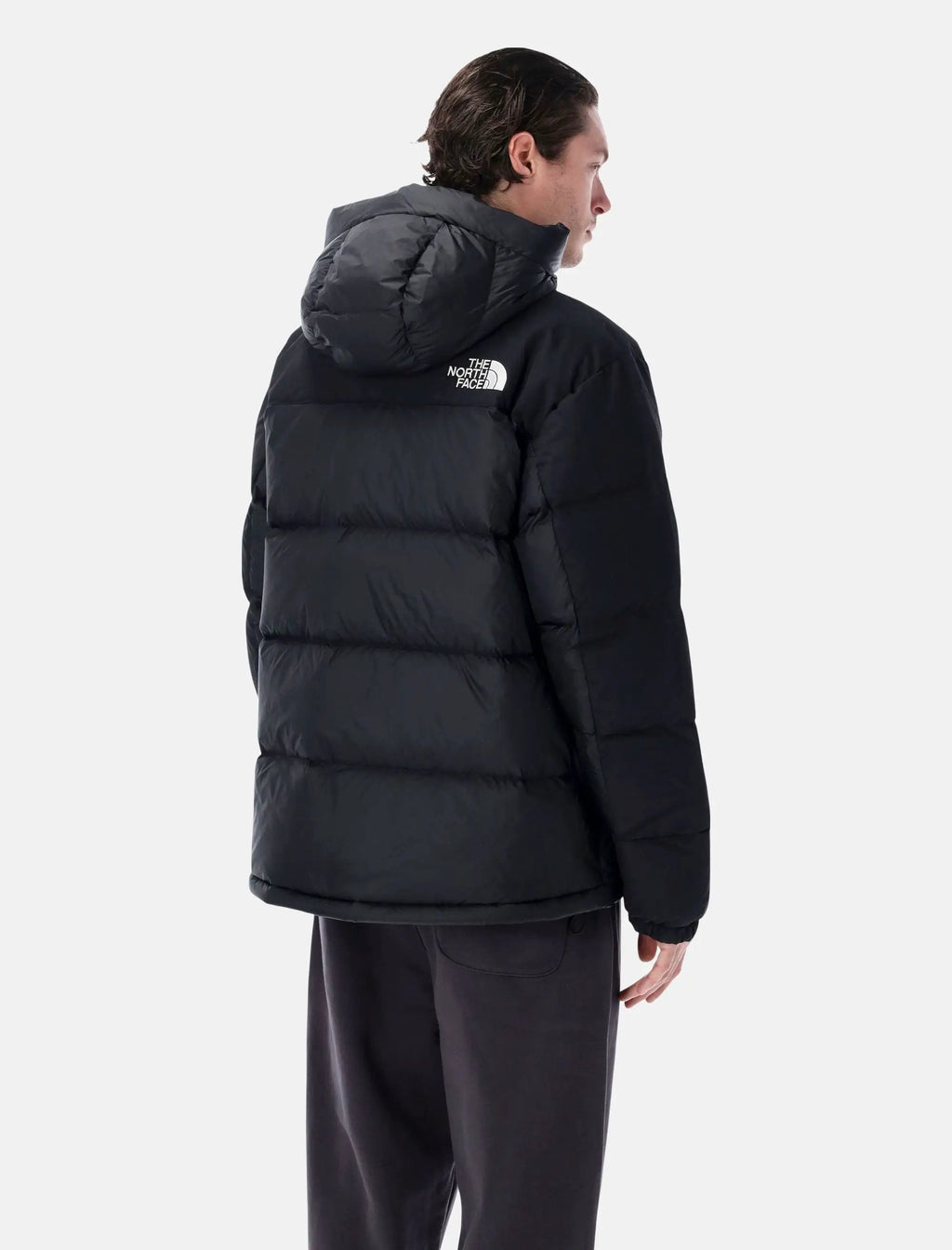 Оригінальна Himalayan Down Parka The north face – вид ззаду