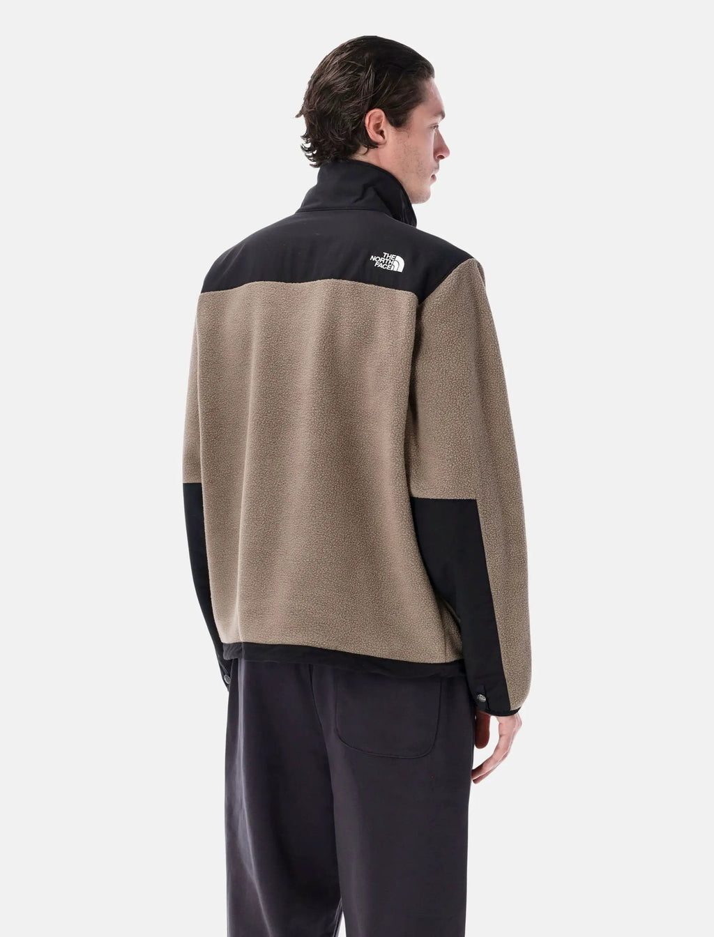 Retro Denali Fleece Jacket The north face оригінал – Купити в Україні – вид ззаду