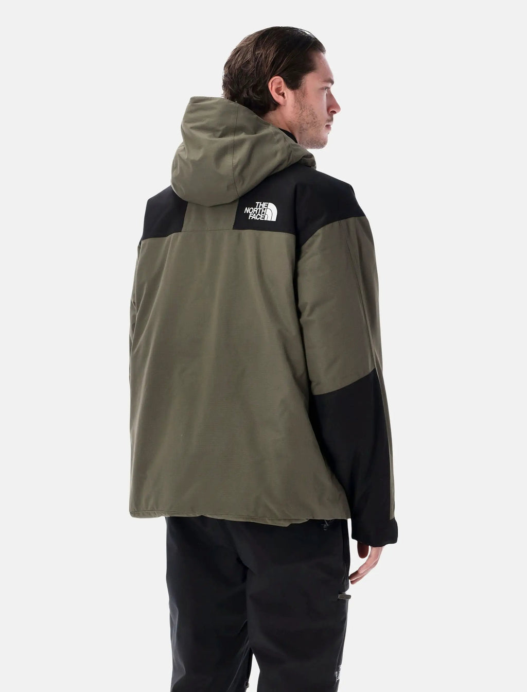 Оригінальна Mountain Down Jacket The north face – вид ззаду