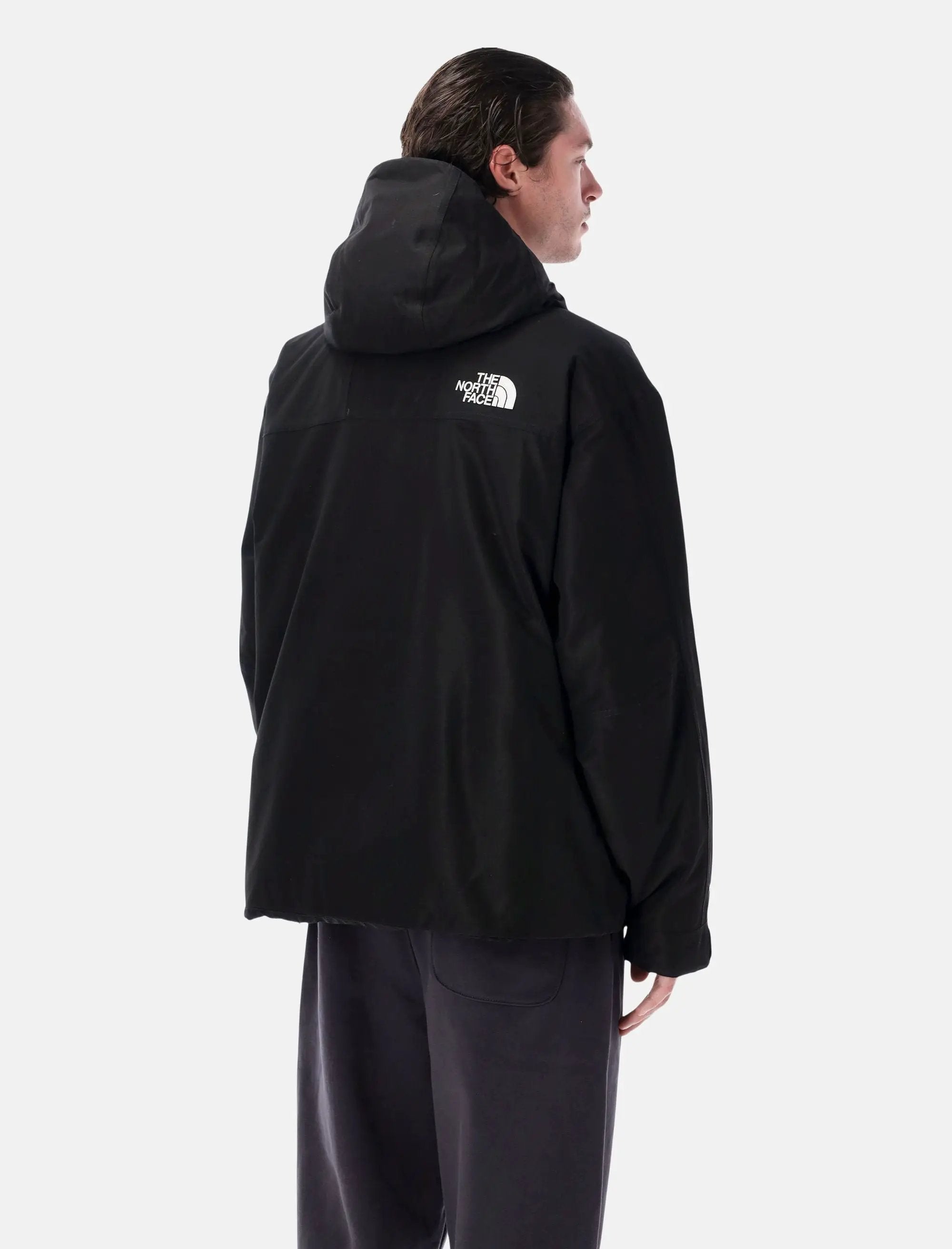 Оригінальна Mountain Down Jacket The north face – вид ззаду