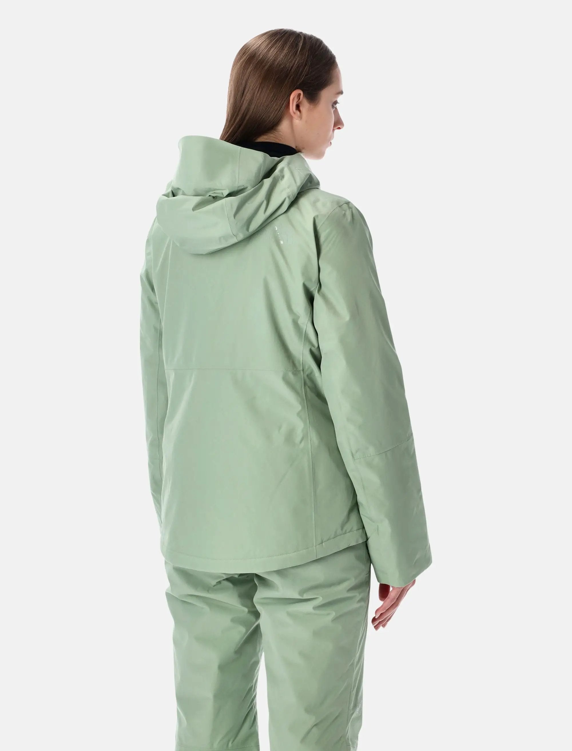 Оригінальна Descendit Ski Jacket The north face – вид ззаду