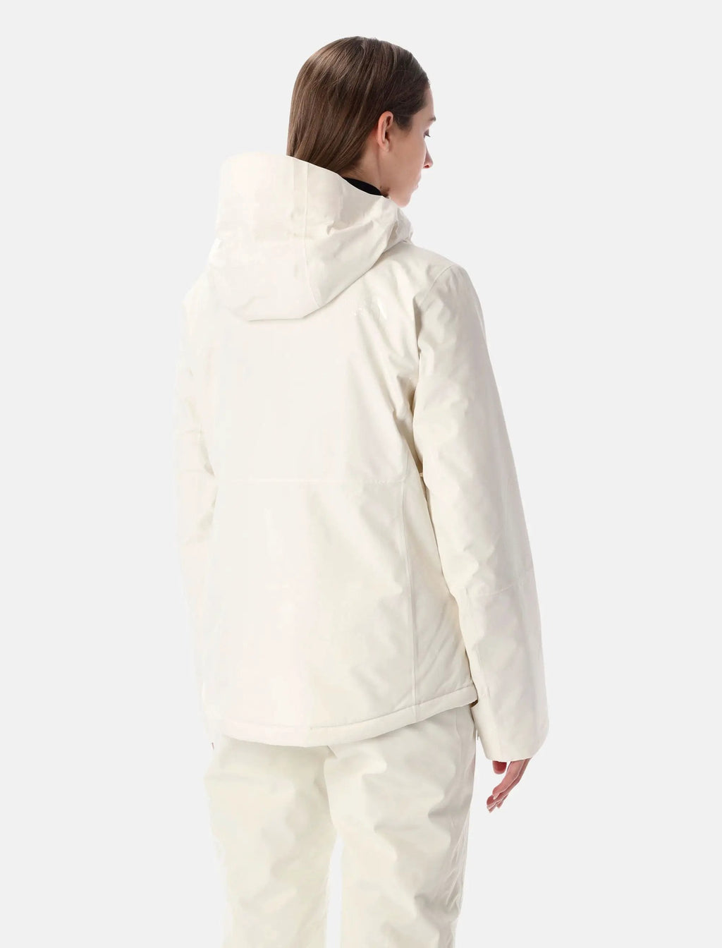 Оригінальна Descendit Ski Jacket The north face – вид ззаду