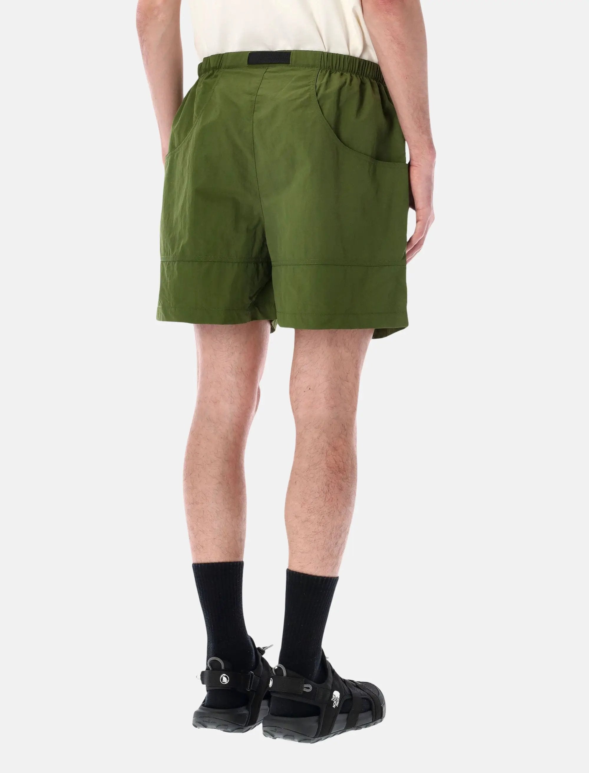 Оригінальна Red Box Nylon Shorts The north face – вид ззаду