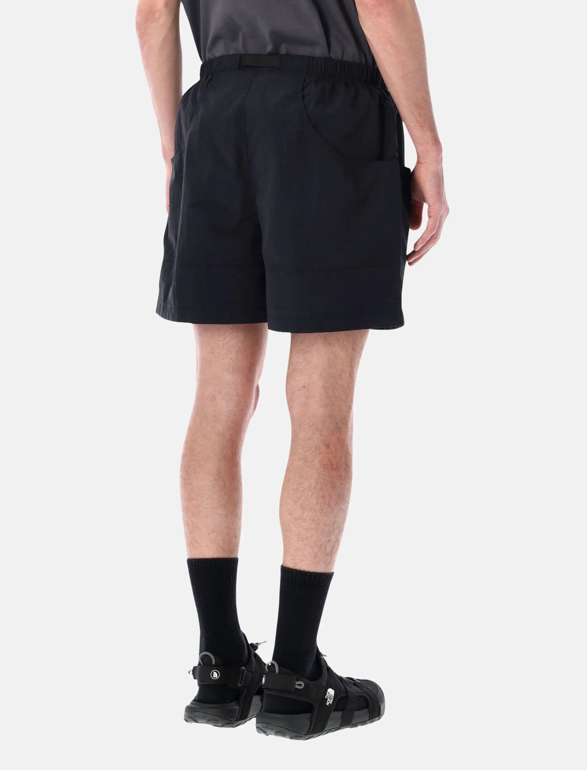 Оригінальна Red Box Nylon Shorts The north face – вид ззаду