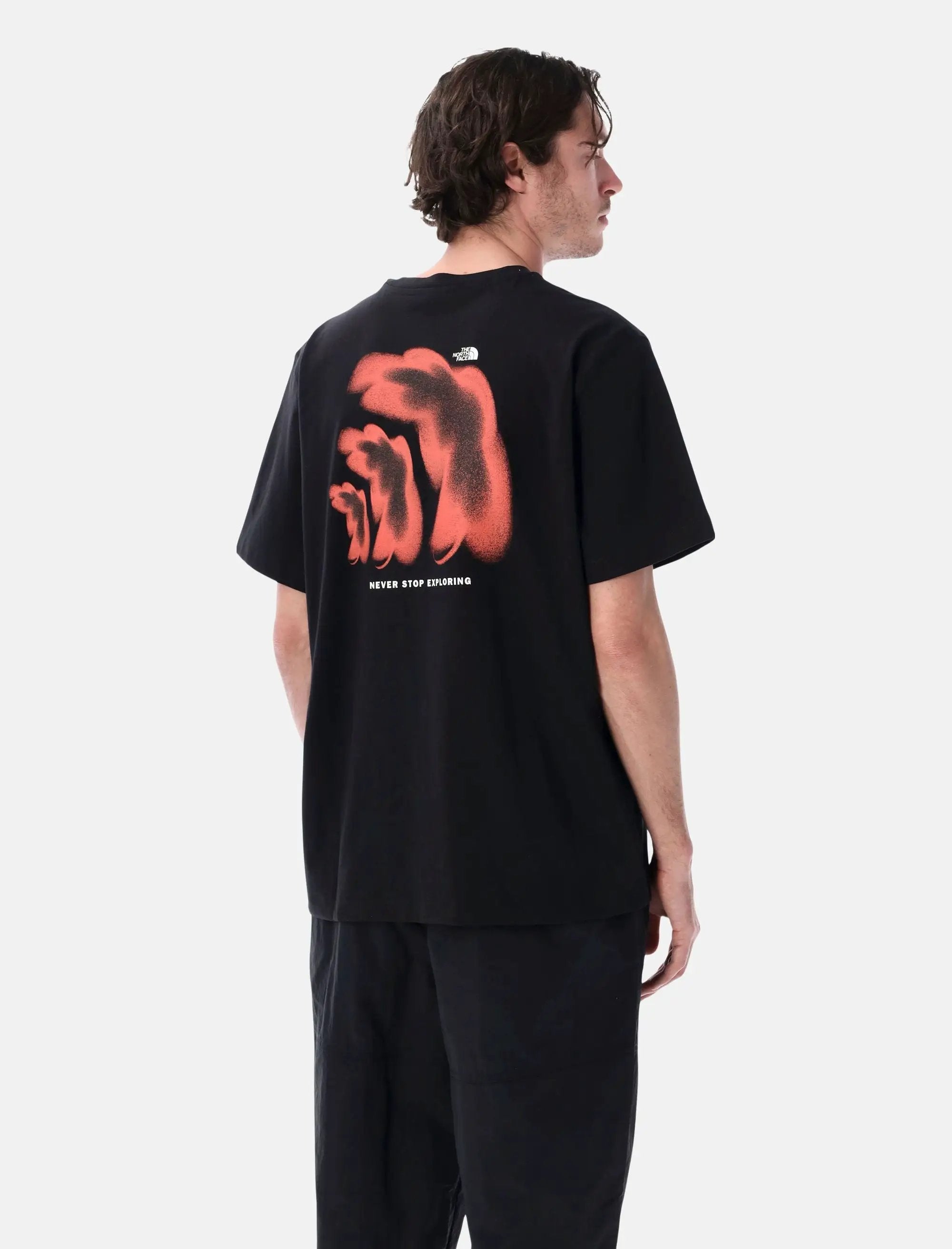 Оригінальна 1966 Half Dome Relaxed Graphic T Shirt The north face – вид ззаду