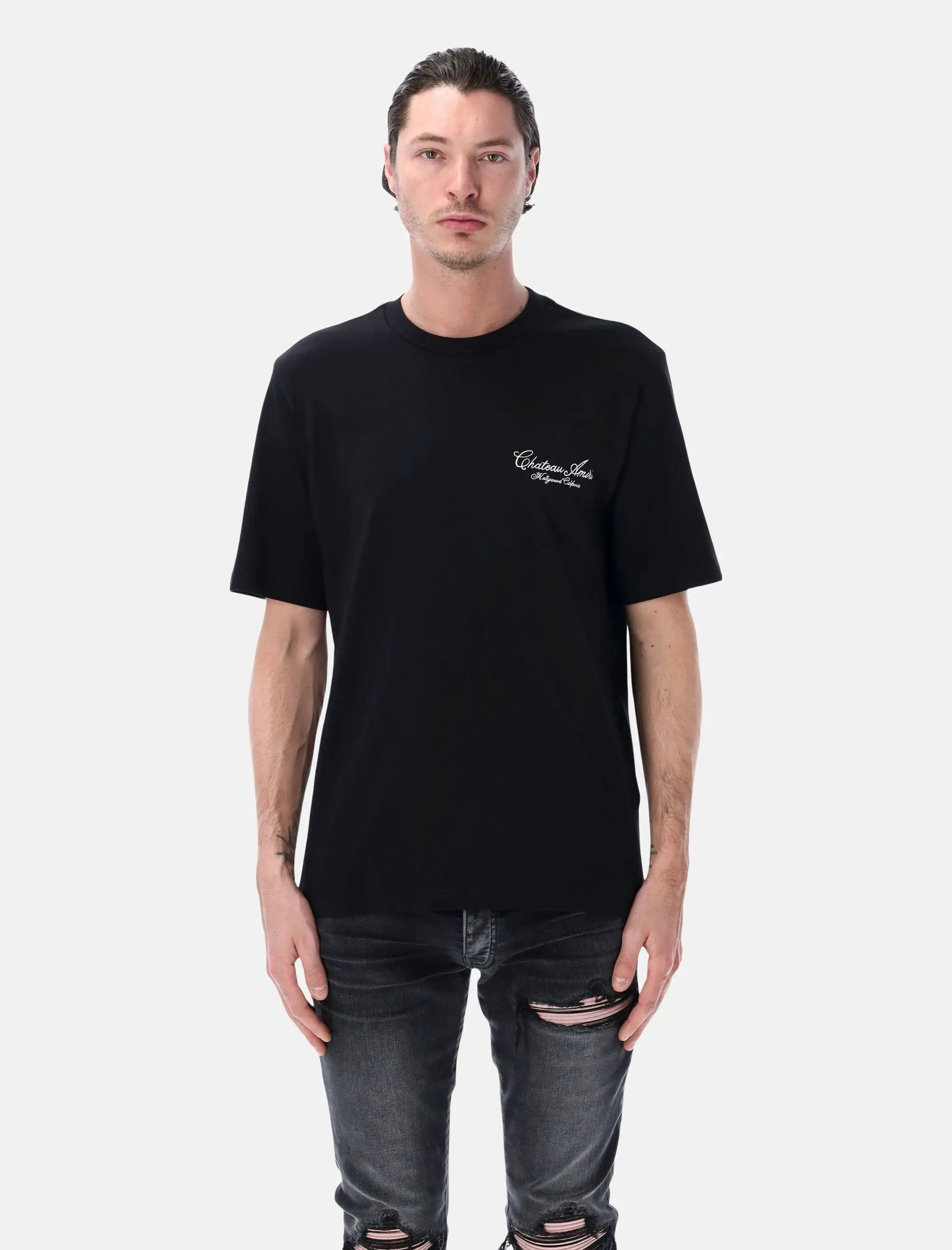 Chateau Script Oversized Tee Amiri оригінал – Купити в Україні – боковий вид