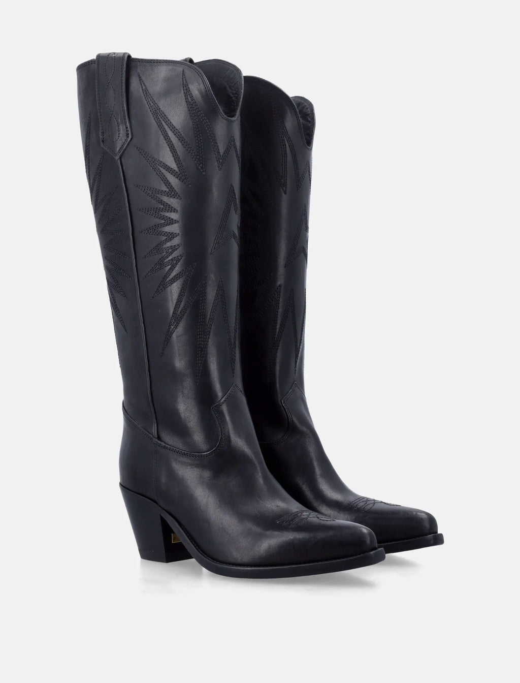 Wish Star Black Leather Boots Golden goose – Гарантія оригінальності – вид ззаду