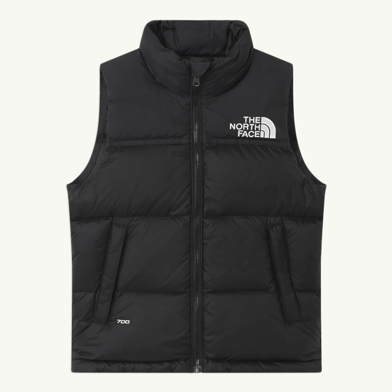 The north face Outerwear оригінал | Швидка доставка Україна – боковий вид