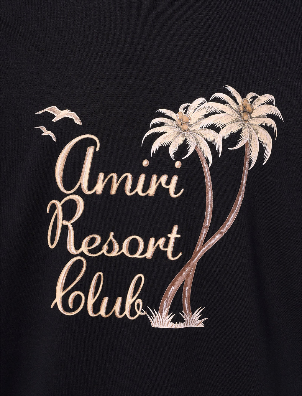 Twisted Palms Tee Amiri оригінал – Купити в Україні – вид ззаду