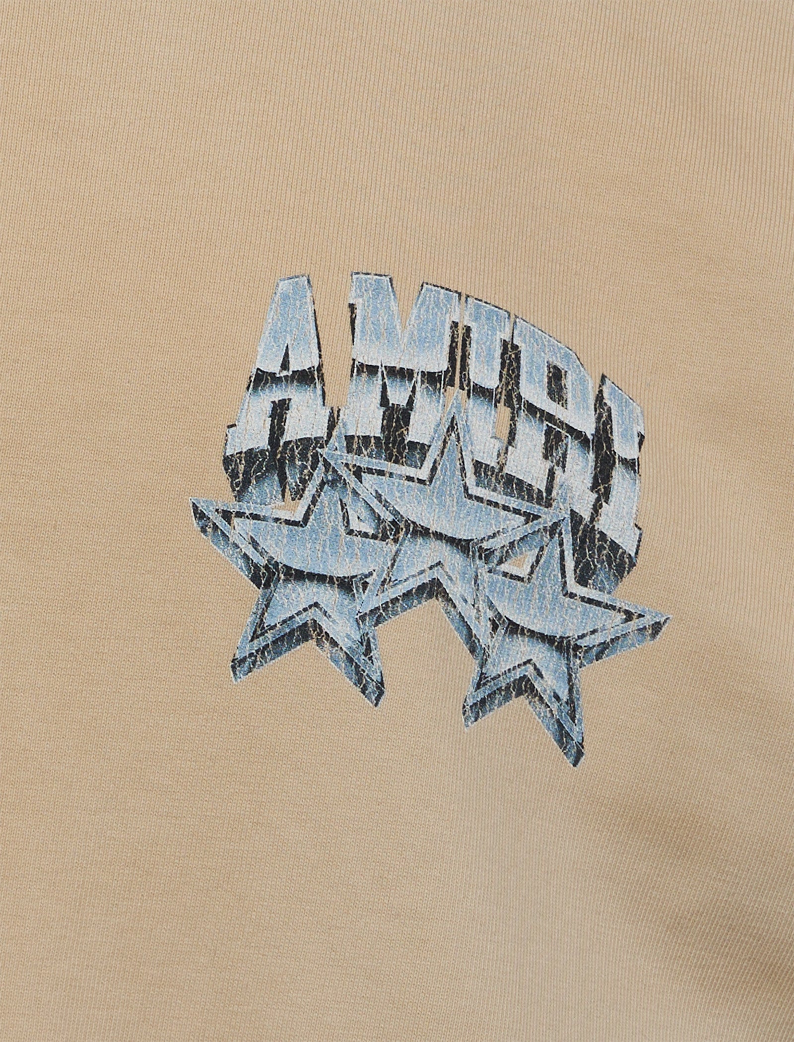 Championship Tee Amiri – Гарантія оригінальності – вид ззаду