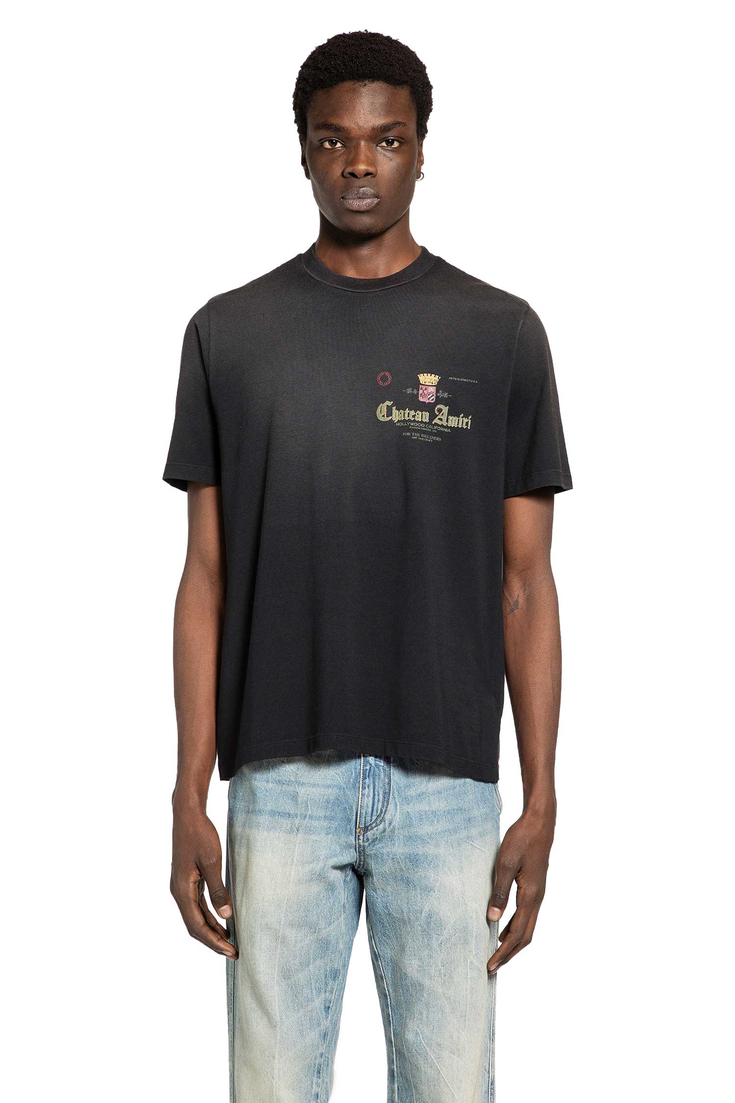 Chateau Crown Tee Amiri оригінал – Купити в Україні – вид ззаду