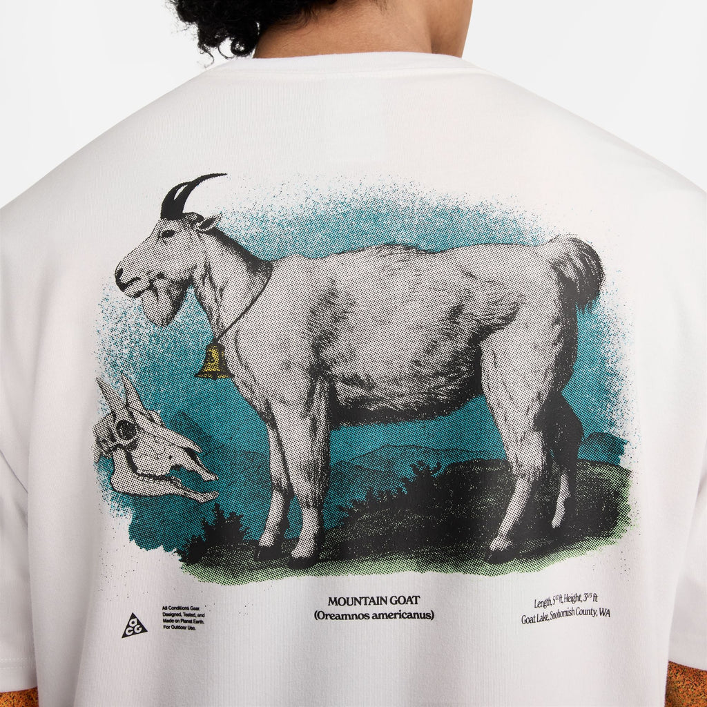 Оригінальна Mens Acg Tee Nike – детальний вид