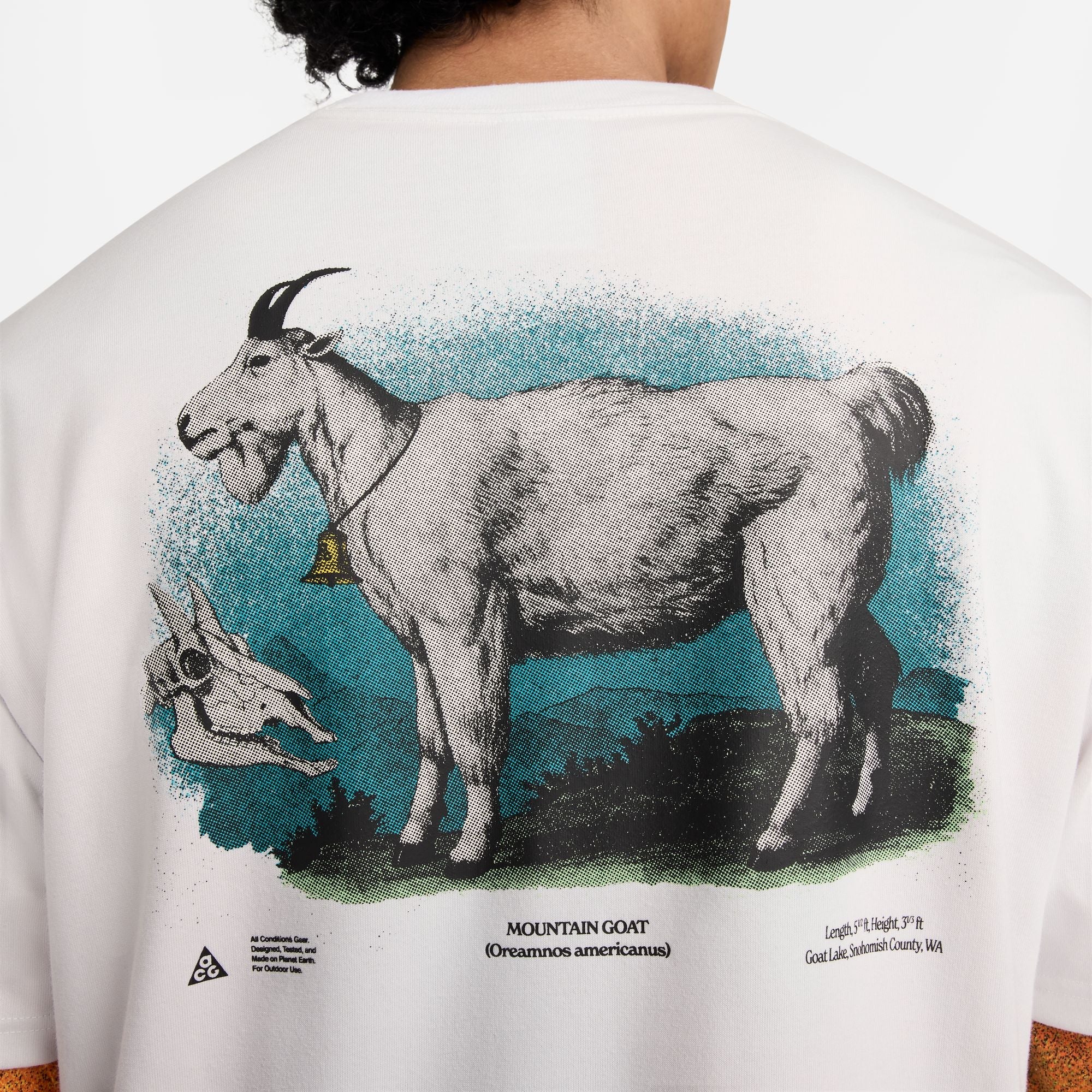 Оригінальна Mens Acg Tee Nike – детальний вид