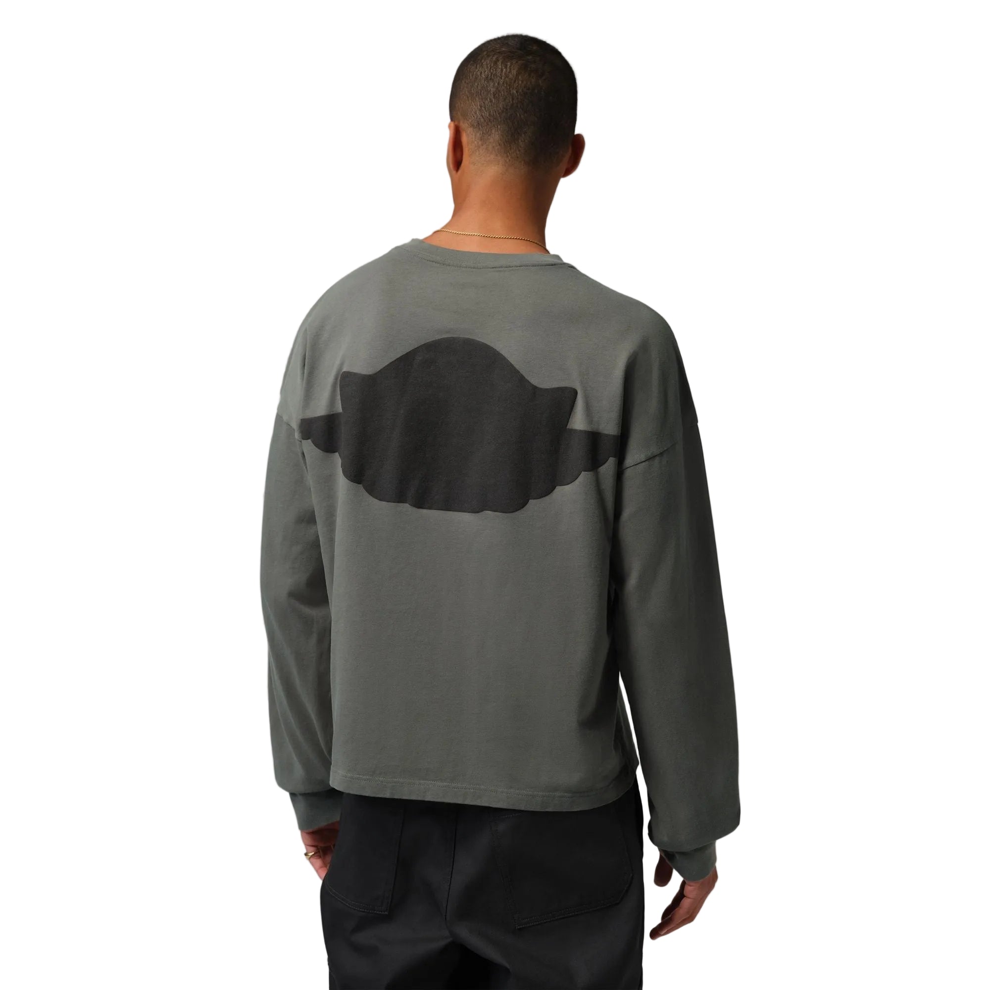 Оригінальна M J Wings Ls Tee Air jordan – вид ззаду