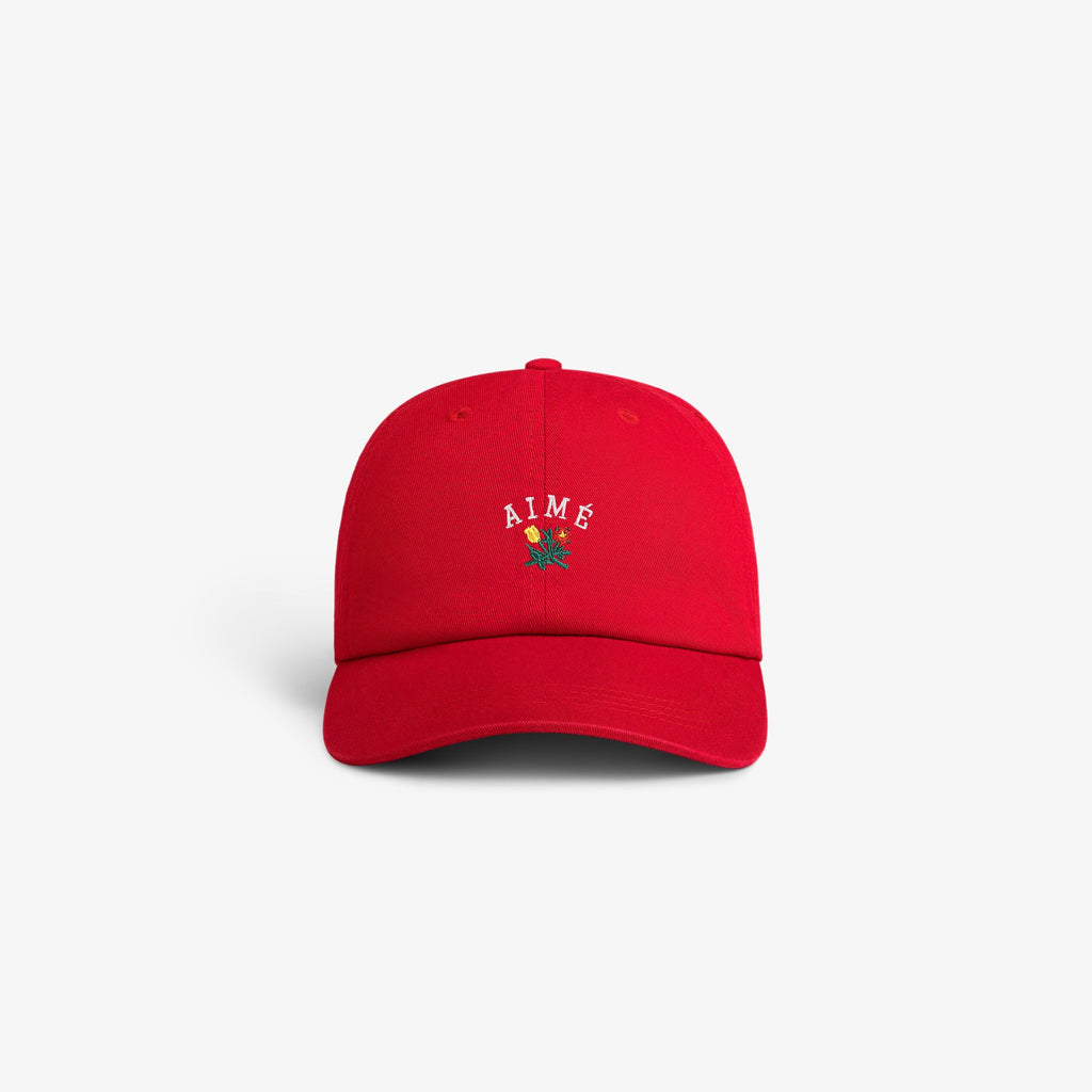 Crest Logo Hat Aime leon dore оригінал – Купити в Україні – боковий вид
