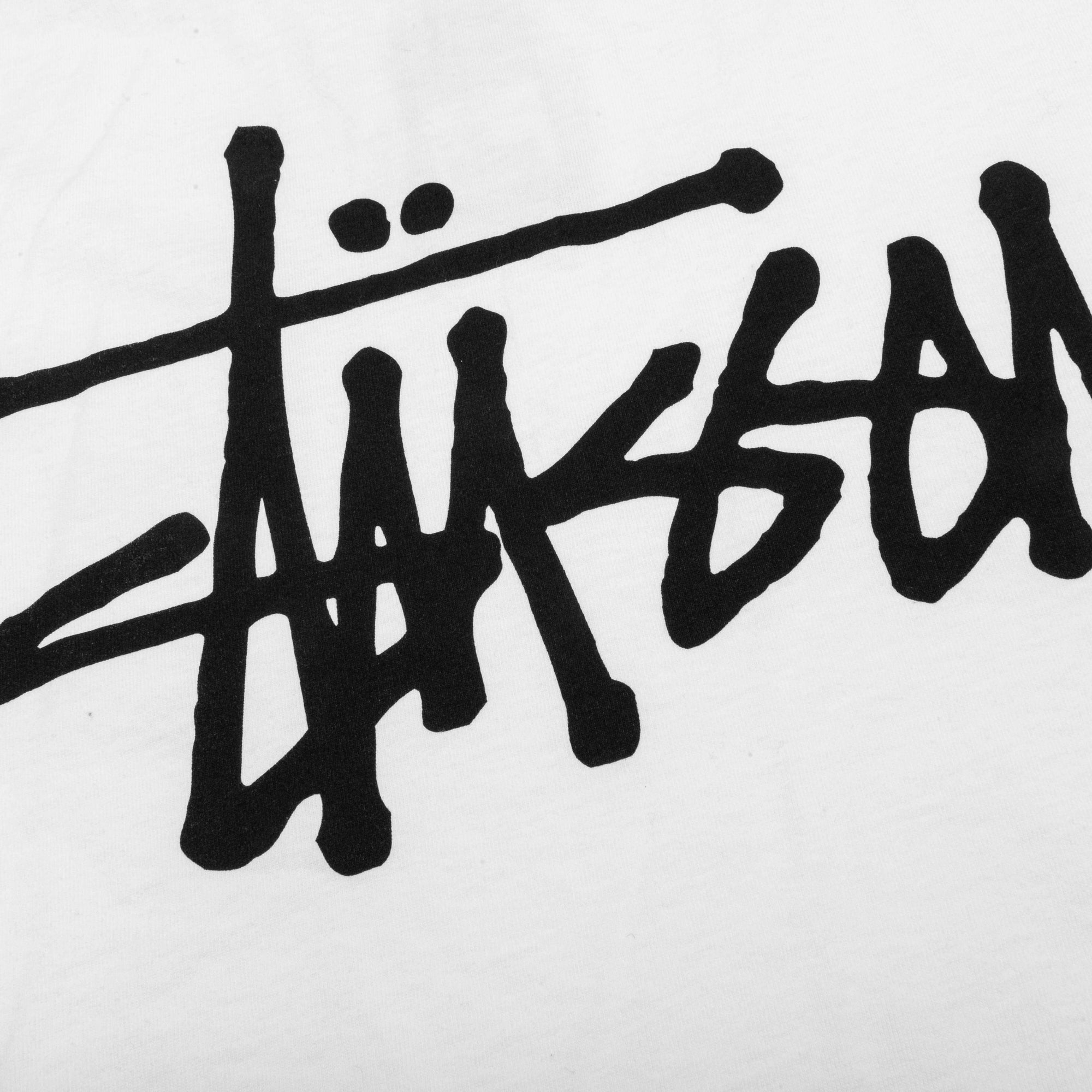 Оригінальна Basic Stussy Pig. Dyed L Stussy – детальний вид