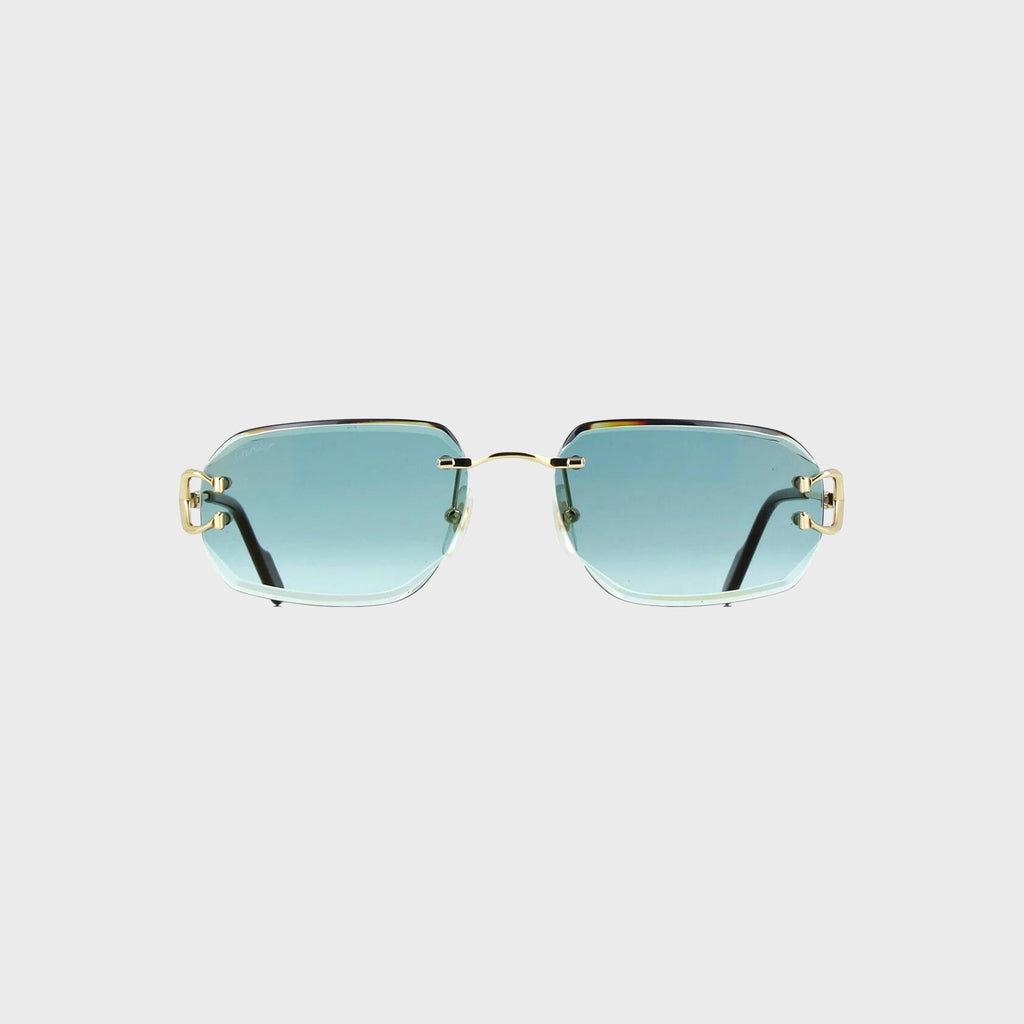 Cartier Eyewear оригінал | Швидка доставка Україна – боковий вид