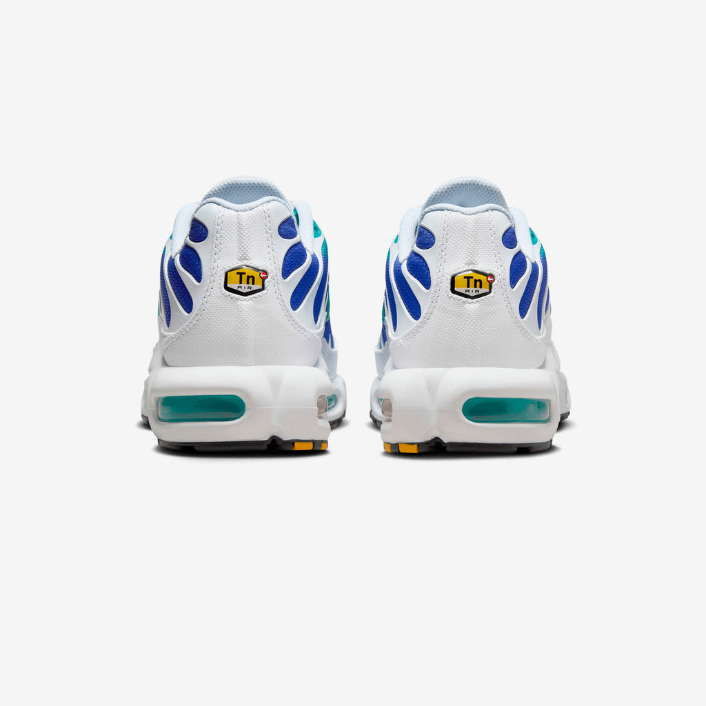 Оригінальна Air Max Plus Nike – детальний вид
