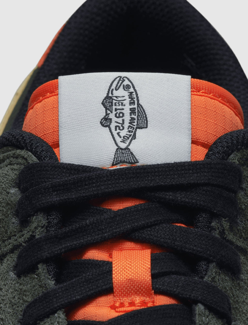 Оригінальна Dunk Low Retro Se Rainbow Trout Nike – вид ззаду