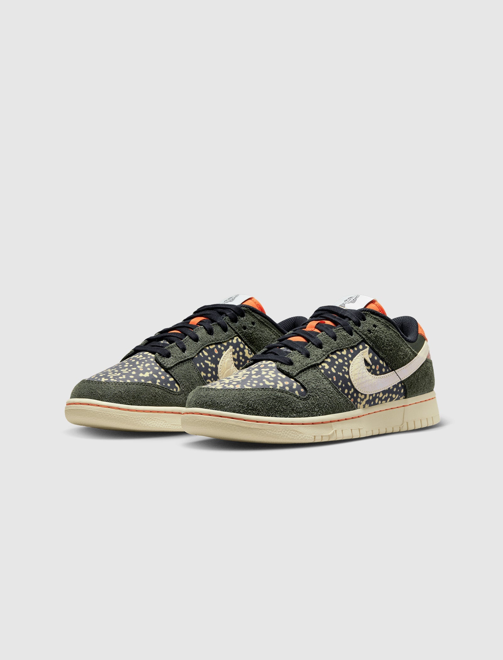 Оригінальна Dunk Low Retro Se Rainbow Trout Nike – збільшений вид