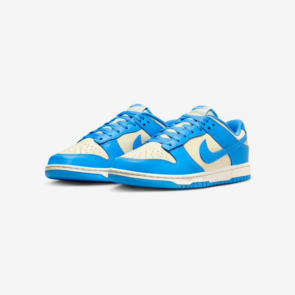 Dunk Low Retro Nike оригінал – Купити в Україні – вид ззаду