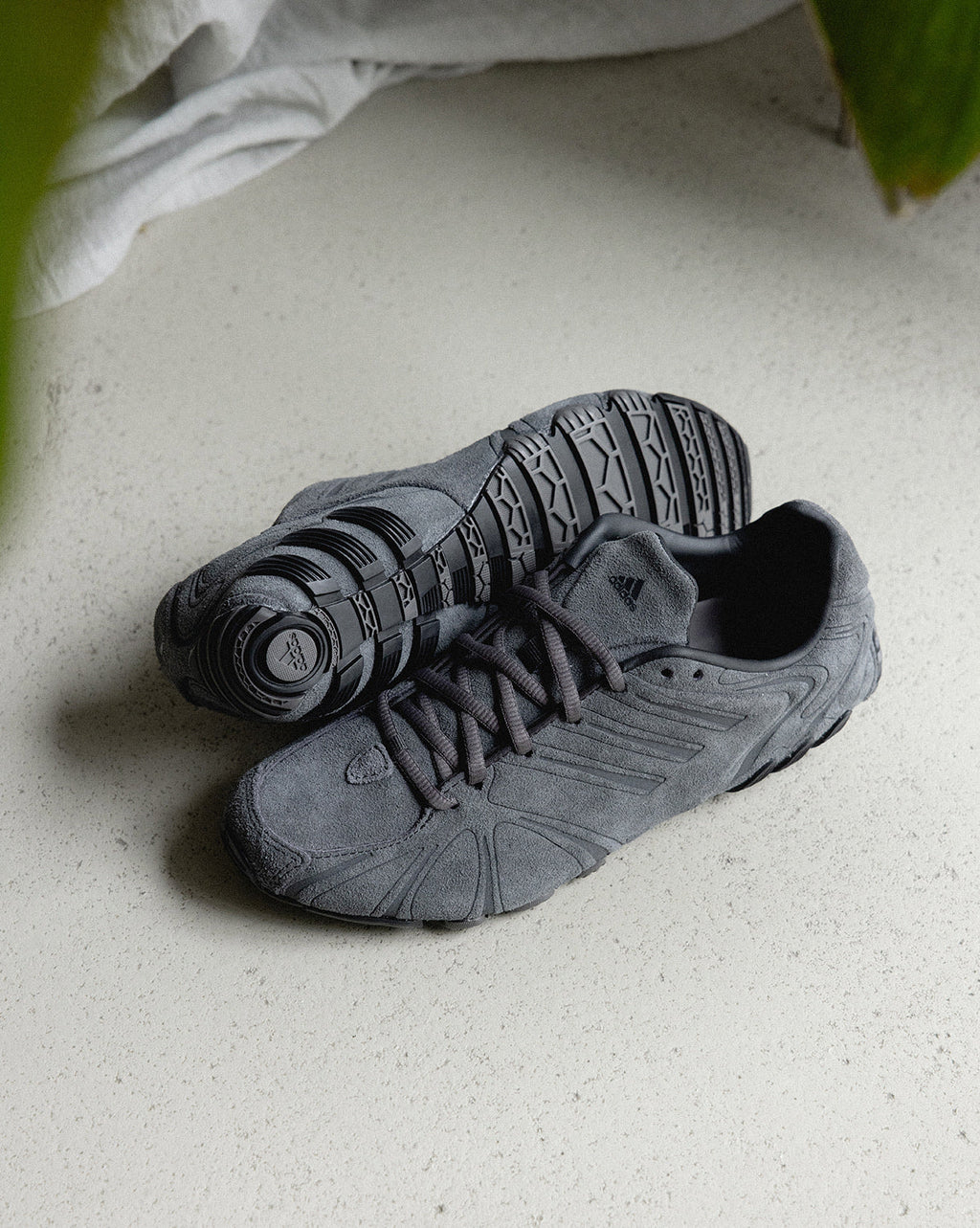 Adidas Footwear оригінал | Швидка доставка Україна – вид ззаду