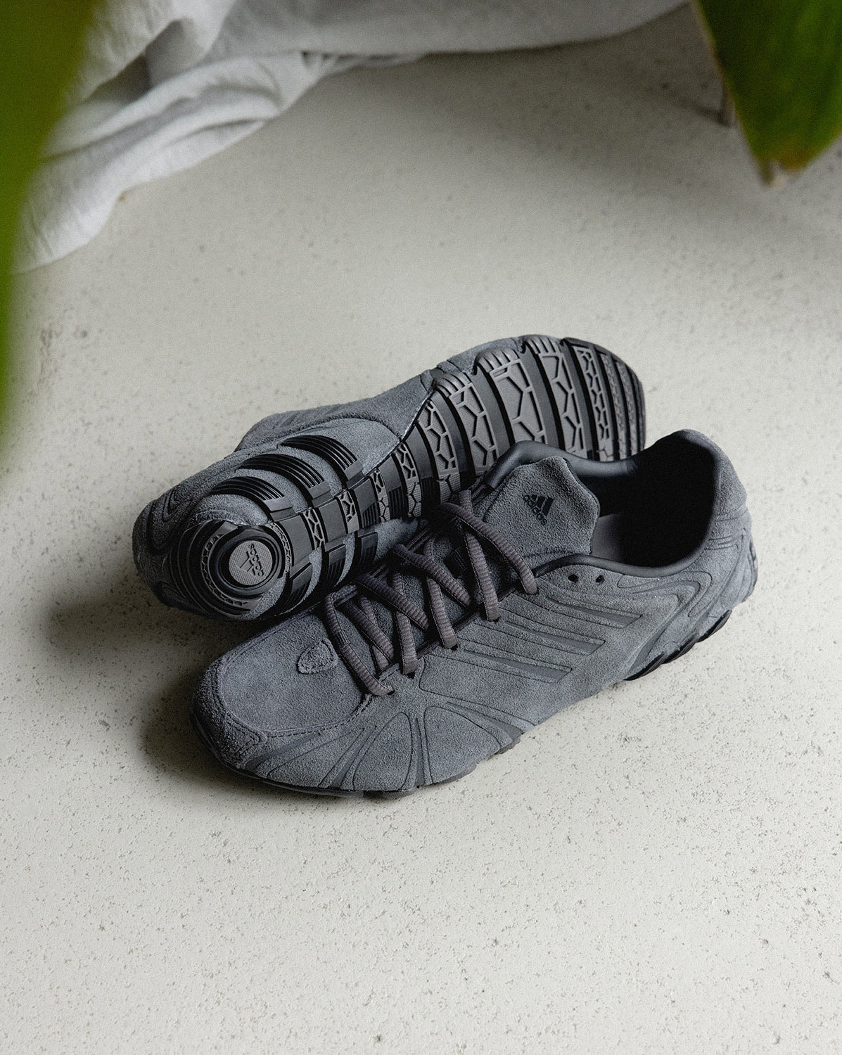 Adidas Footwear оригінал | Швидка доставка Україна – вид ззаду - ADIDAS