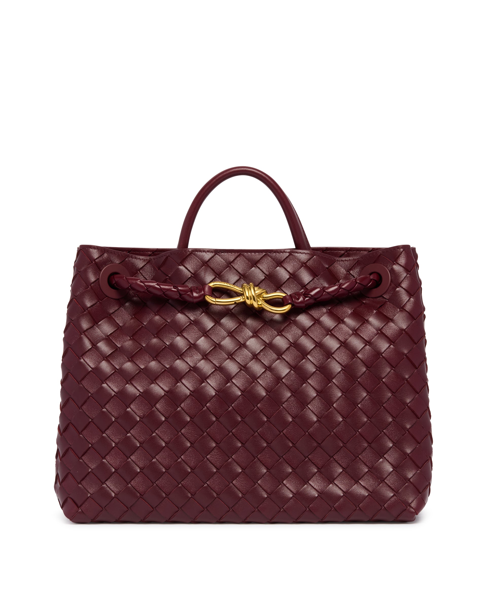 Burgundy Medium Andiamo Bag Bottega veneta оригінал – Купити в Україні – боковий вид