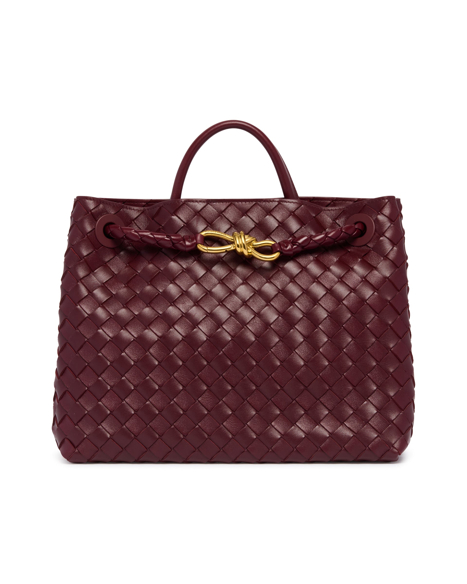 Burgundy Medium Andiamo Bag Bottega veneta оригінал – Купити в Україні – вид ззаду