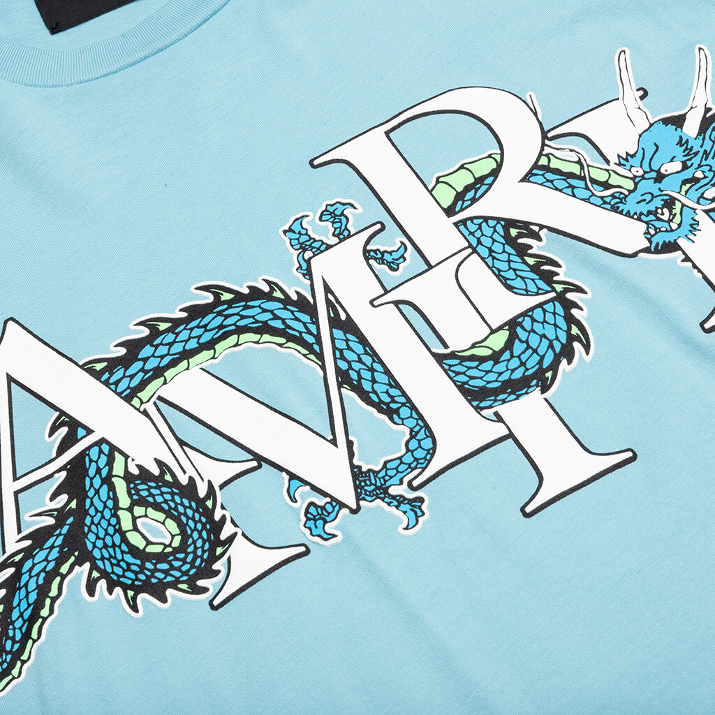 Lny Dragon Tee Amiri оригінал – Купити в Україні – збільшений вид