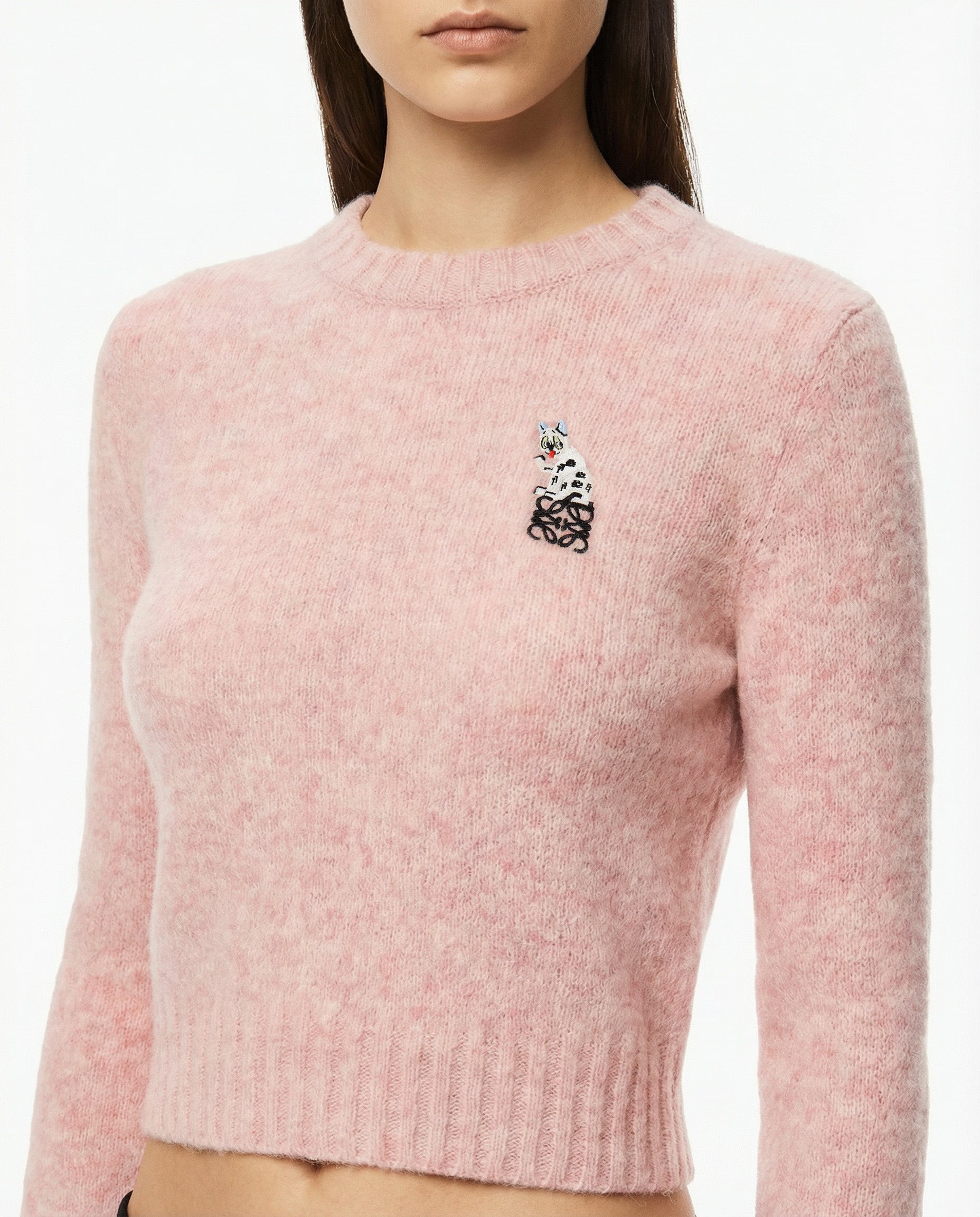 Wool Sweater Loewe оригінал – Купити в Україні – вид ззаду