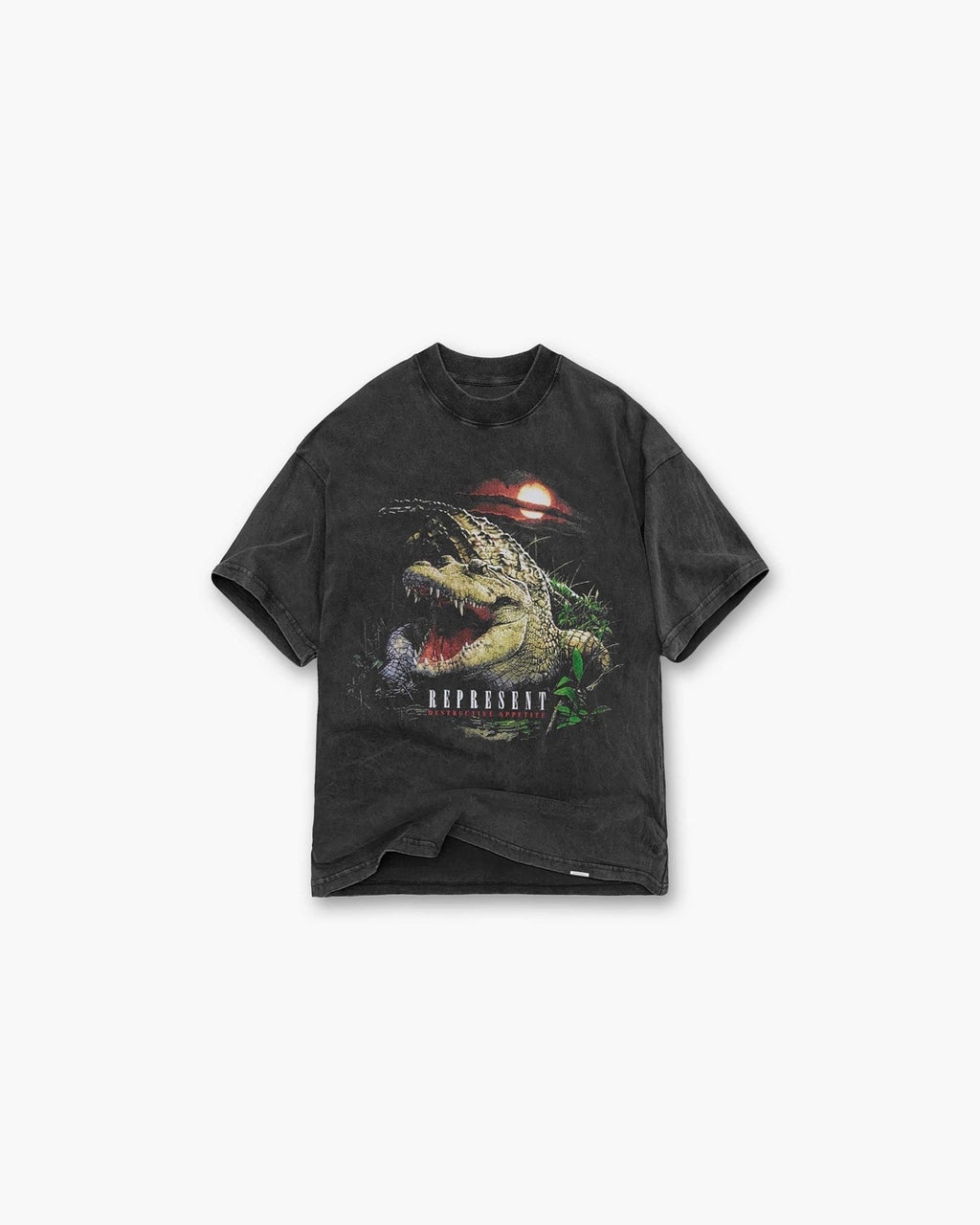 Destructive Appetite Vintage Grey T-Shirt Represent оригінал – Купити в Україні – боковий вид