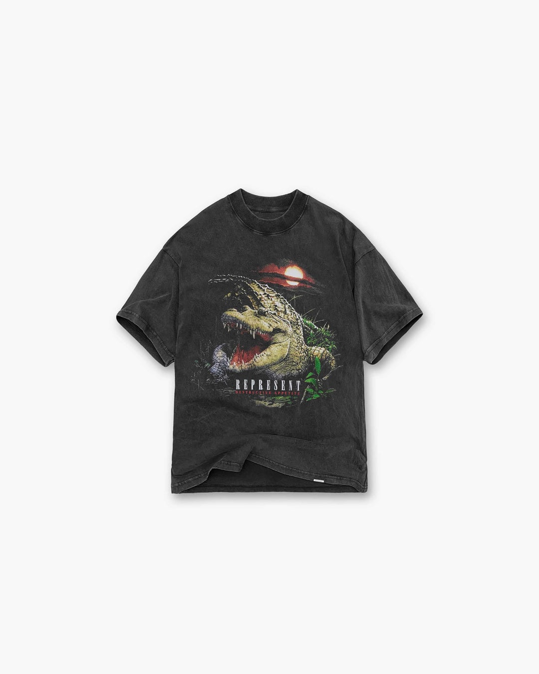 Destructive Appetite Vintage Grey T-Shirt Represent оригінал – Купити в Україні – боковий вид