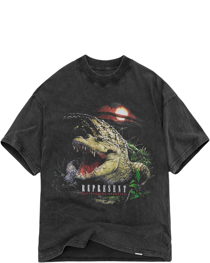 Destructive Appetite Vintage Grey T-Shirt Represent оригінал – Купити в Україні