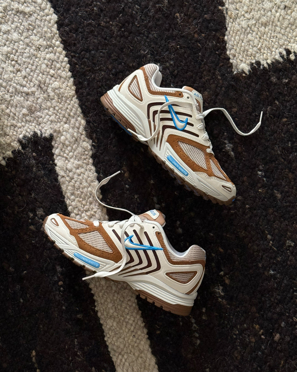Оригінальна Air Pegasus 2005 Se Nike – вид ззаду