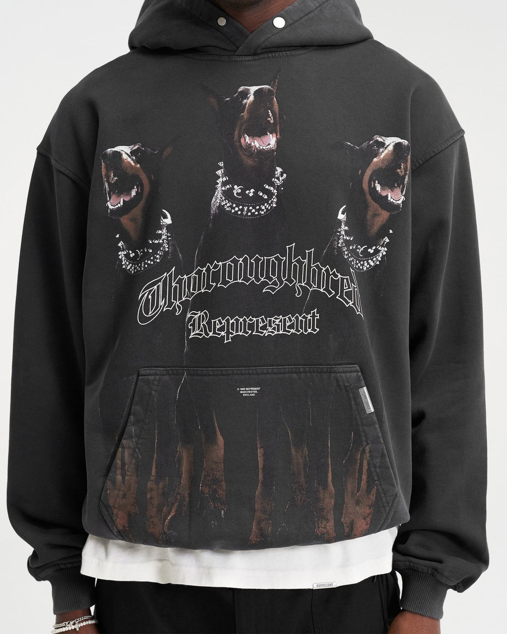 Thoroughbred Hoodie Represent оригінал – Купити в Україні – вид ззаду
