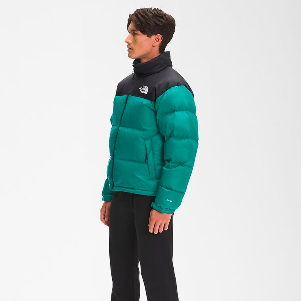 Оригінальна Mens 1996 Retro Nuptse Jacket Porcelain Green The north face – вид ззаду