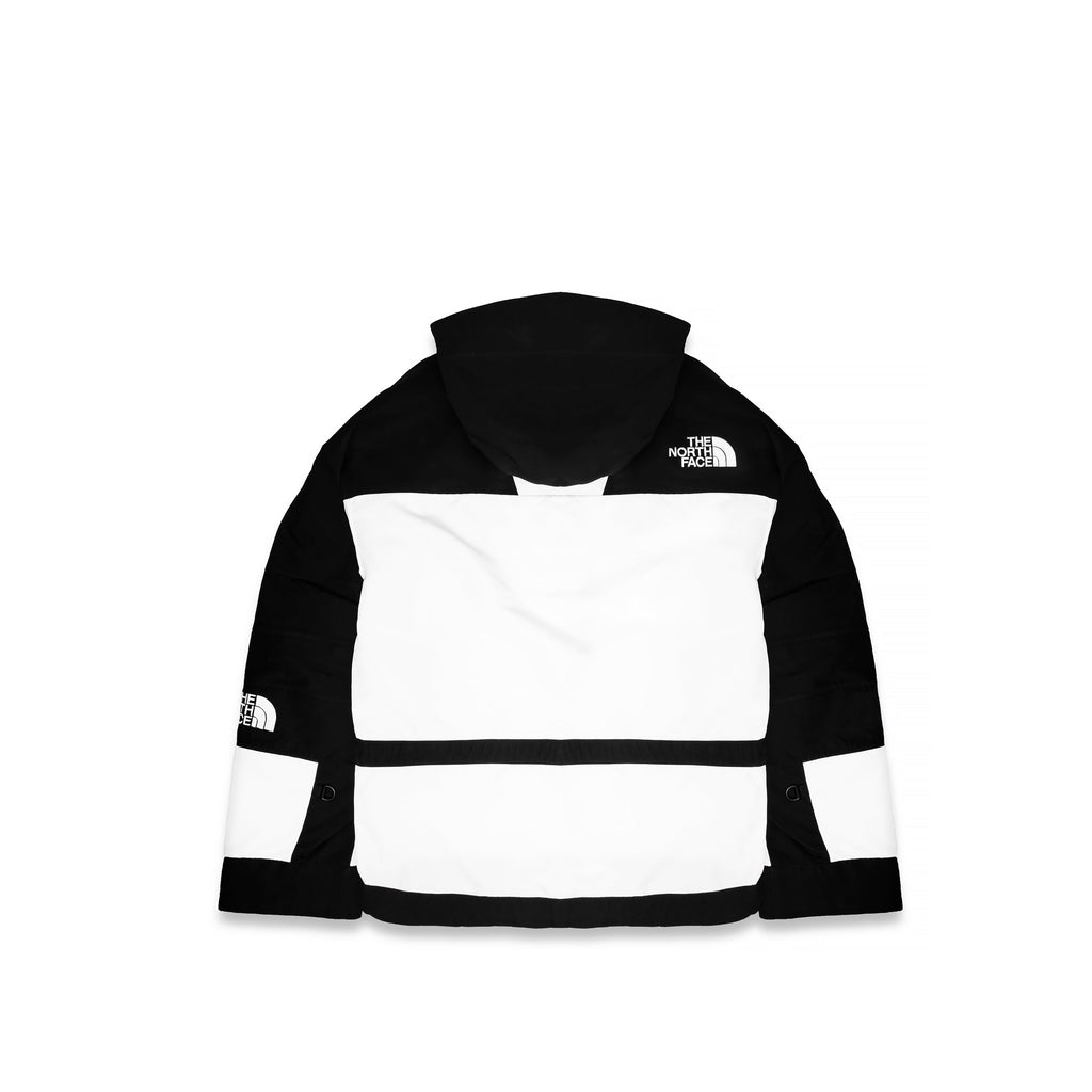 Оригінальна Black Series Mens Mountain Light Jacket The north face – вид ззаду