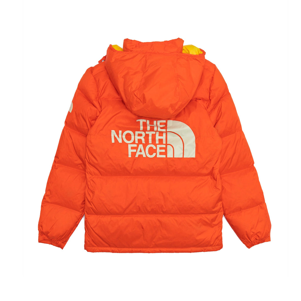 Mens Clr Blk Sra Parka The north face – Гарантія оригінальності – вид ззаду