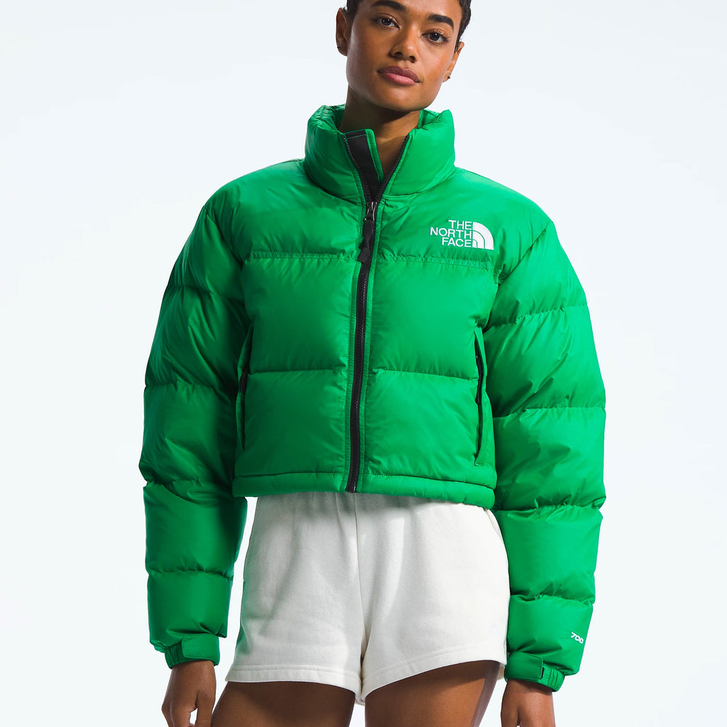 The north face Outerwear оригінал | Швидка доставка Україна – вид ззаду