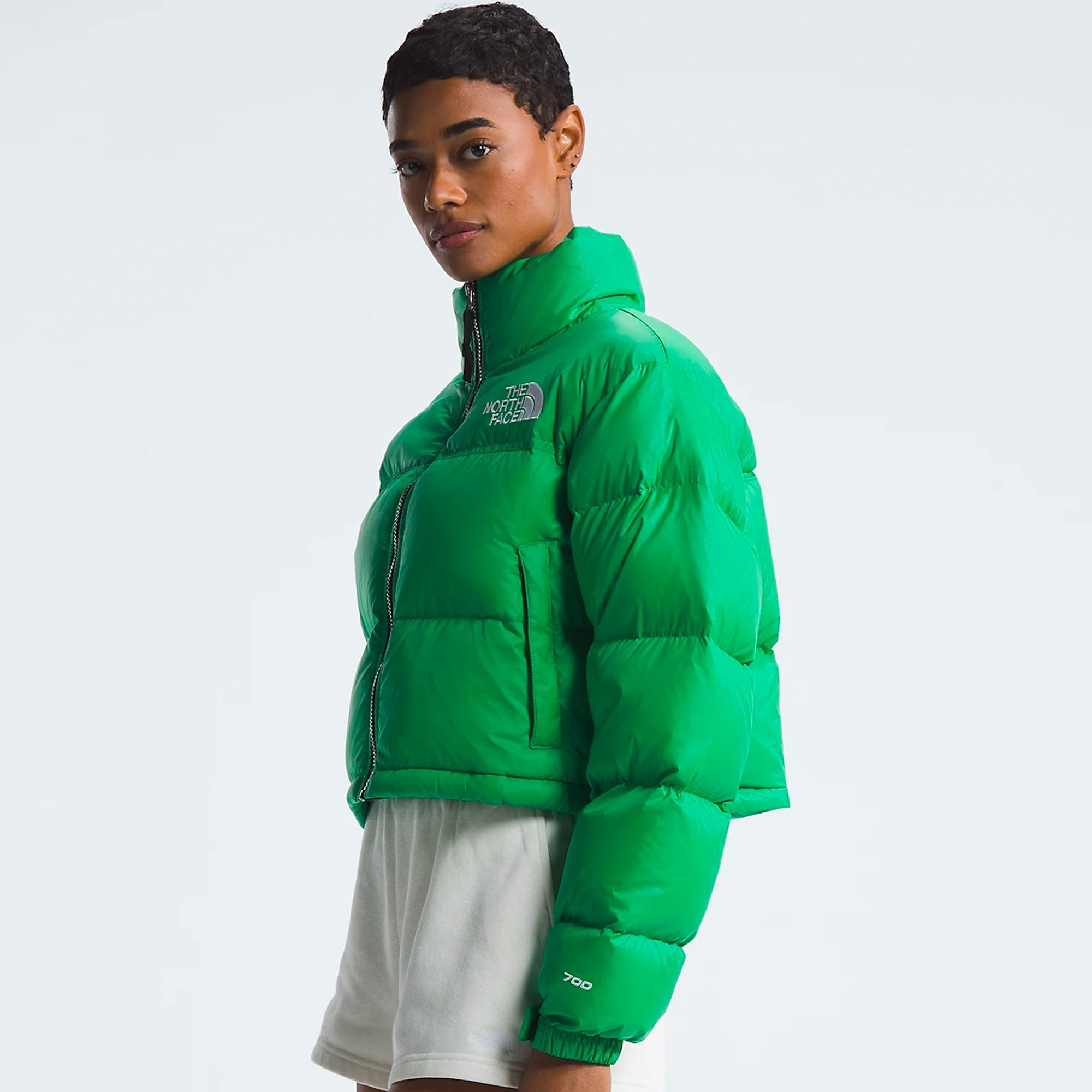 The north face Outerwear оригінал | Швидка доставка Україна – збільшений вид