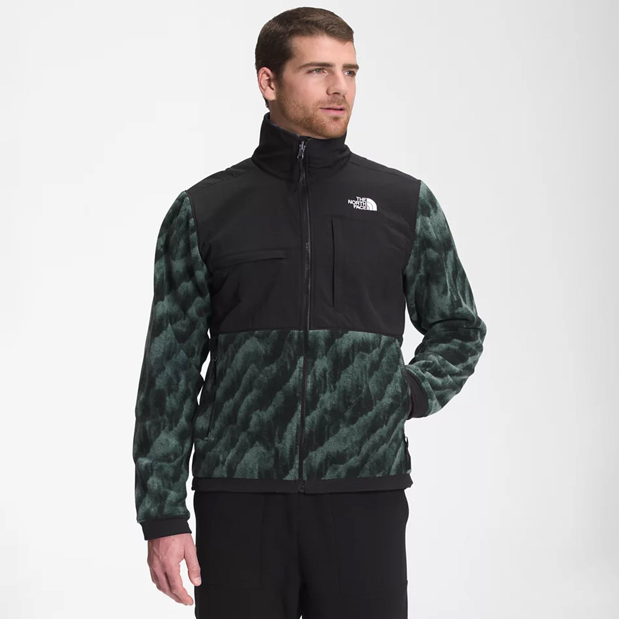 Оригінальна Mens Print Denali 2 Jacket The north face – вид ззаду