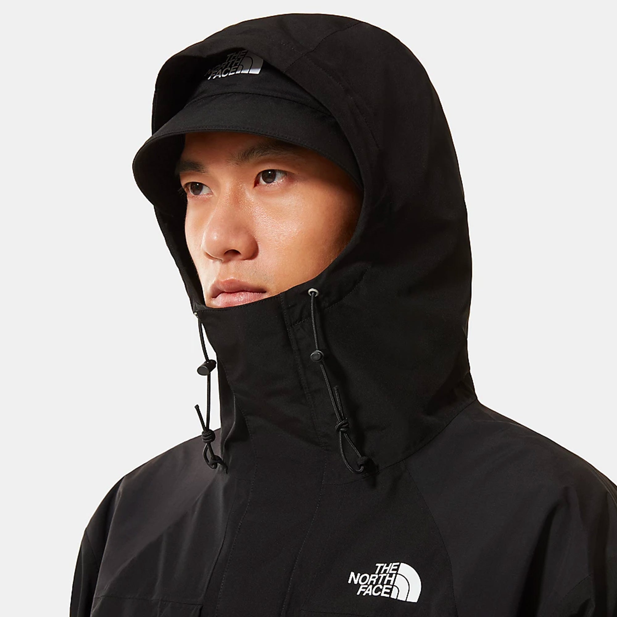 Оригінальна Mens 2000 Mountain Jacket Black The north face – збільшений вид