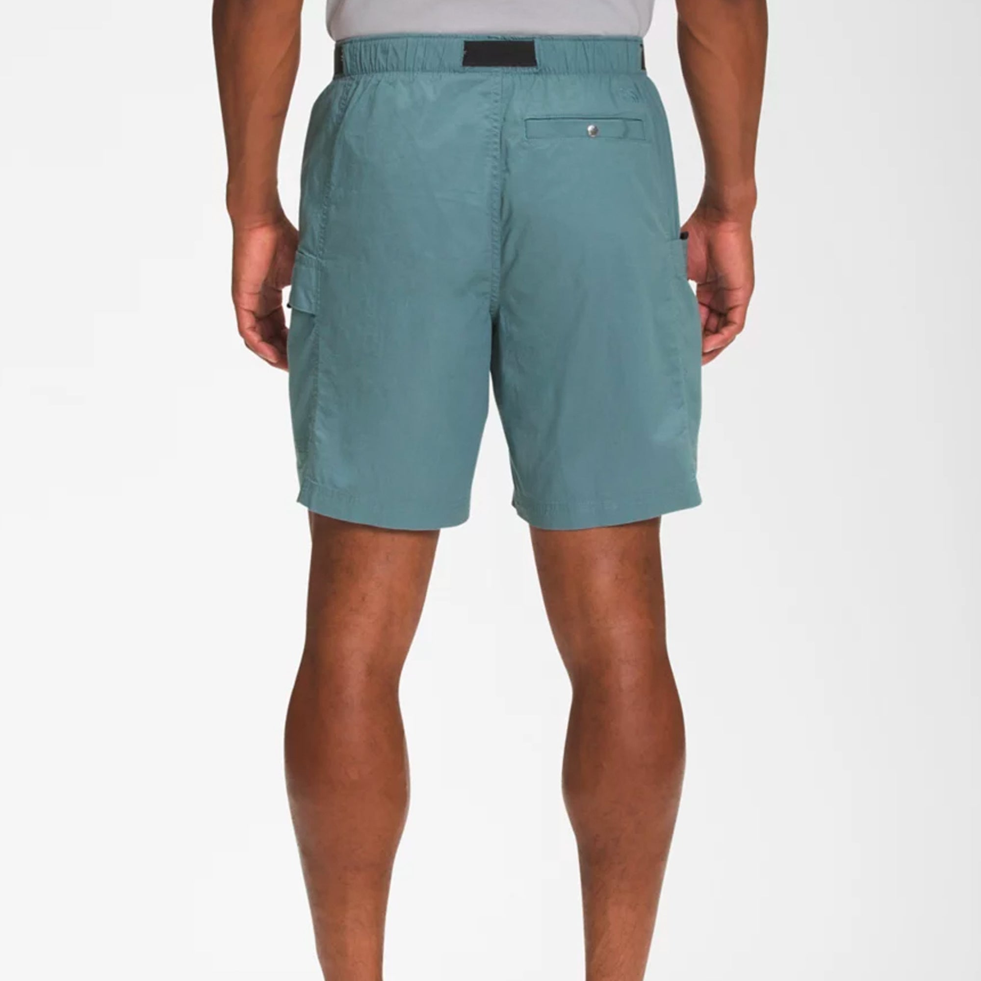 Оригінальна Mens Ripstop Cargo Easy Shorts The north face – детальний вид